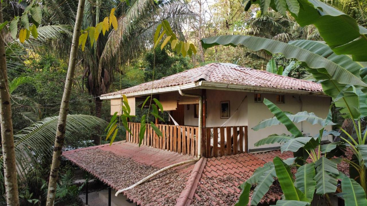 Playa Santa Teresa  Colibri Apartments - 4 Min Walk To The Beach! מראה חיצוני תמונה