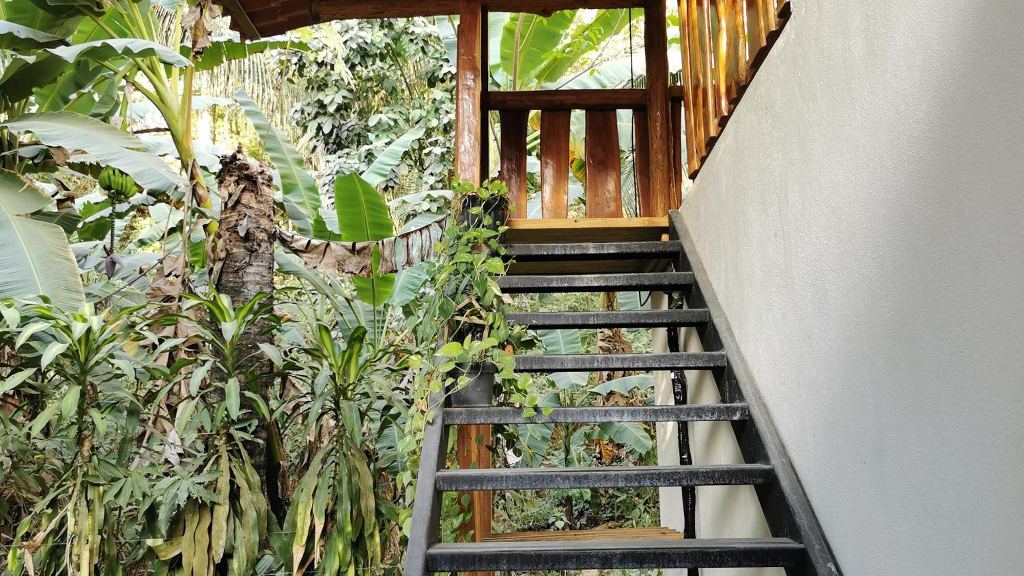 Playa Santa Teresa  Colibri Apartments - 4 Min Walk To The Beach! חדר תמונה