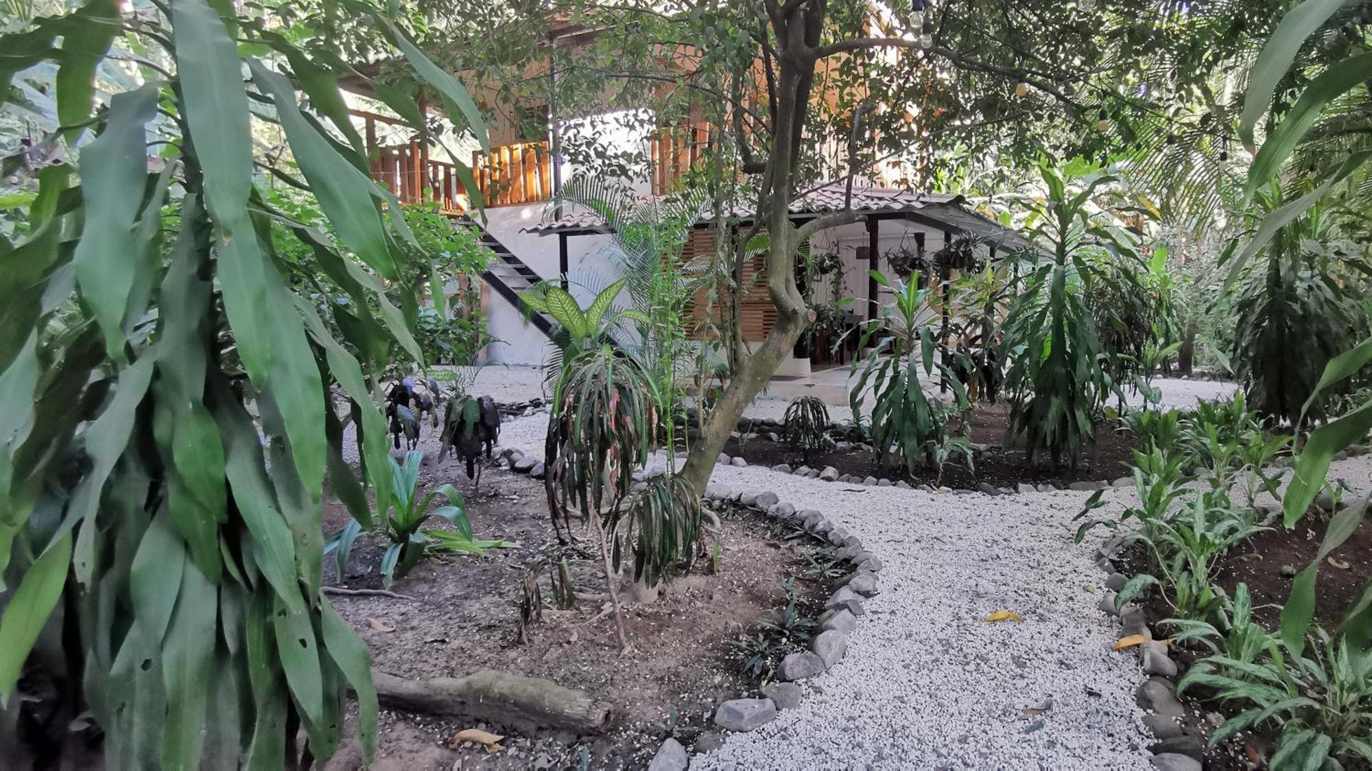 Playa Santa Teresa  Colibri Apartments - 4 Min Walk To The Beach! חדר תמונה